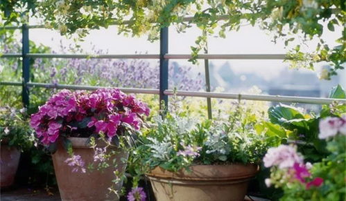 呼和浩特生态园的对比实验