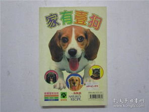 獭兔饲养指南：精选青菜与优质饲料组合