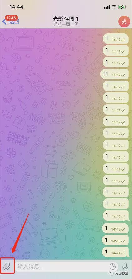 第三步：比对果实形态