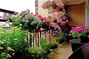 草花种植， 季节彳艮重要