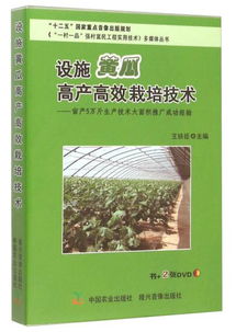 油甘栽培指南：高效种植技术与时间规划