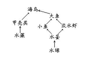 农药的腐蚀成分