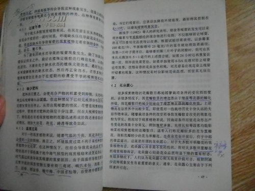 北京颐和园的智慧