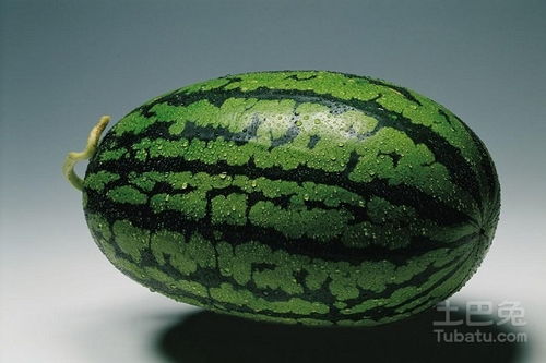 西瓜籽怎么种植？超简单的家庭种植西瓜小窍门