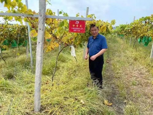 特色项目投资亮点