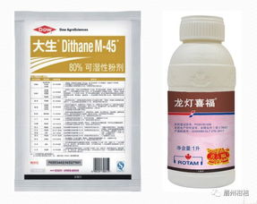 柑橘上使用炔螨特的时间过长，会导致药害吗？有没有相关图片可以参考？