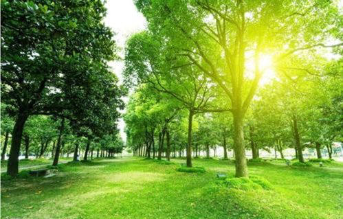 科学养殖，绿色生态