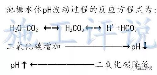 河蟹池塘pH值异常原因及调节方法探讨