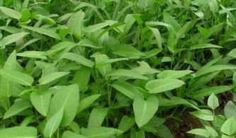 防范为主， 治疗为辅