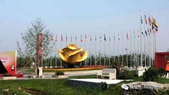 魏善庄月季小镇， 姹紫嫣红，美不胜收