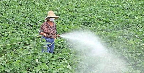 大豆农药使用的重要性