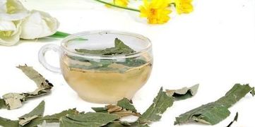 睡莲花泡水， 减肥瘦身的好帮手