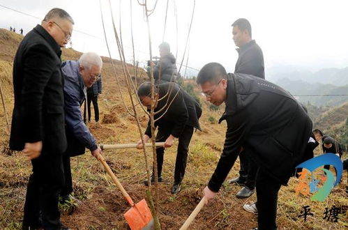 投身绿化工程行业创业， 是个具有赚钱潜力的选择