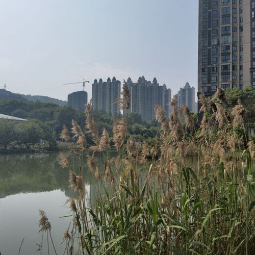 郴州南岭植物园月季园， 春天的旋律