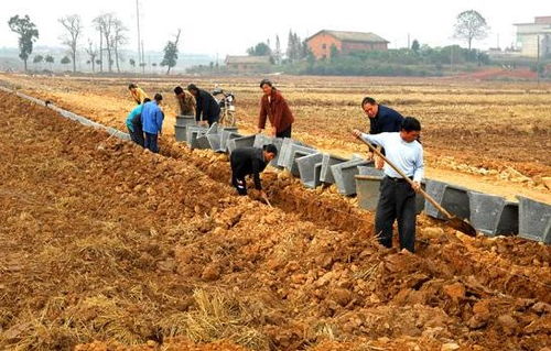 土地选择：偏酸性土壤，油茶生长的乐园