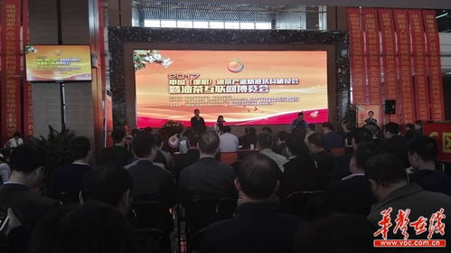 永州油茶产业盛会：湖南茶农共绘发展蓝图