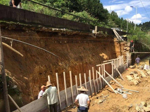 斜坡不滑坡对植物的要求及适合植物