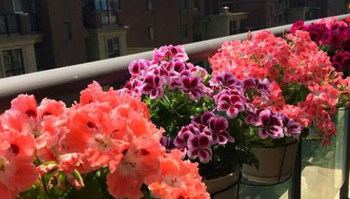 南方气候的优势