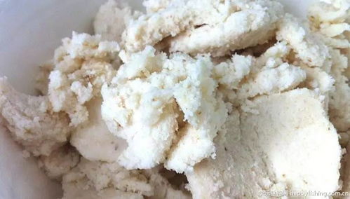 豆腐渣如何通过发酵工艺转化为高效饲料？