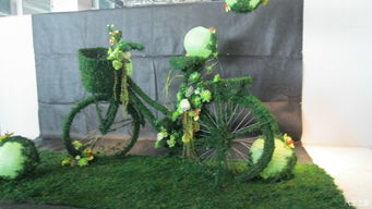 毕业后去哪儿？