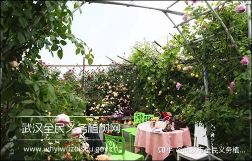 月季花园，美轮美奂！