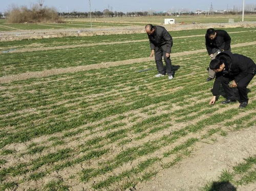 注意事项，不Neng忽视