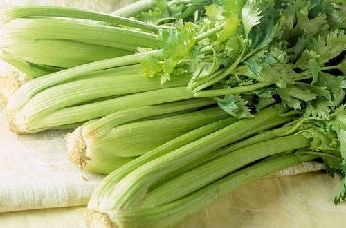 芹菜农药残留的产生