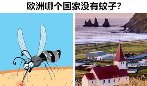 夏日蚊虫肆虐，影响人们生活