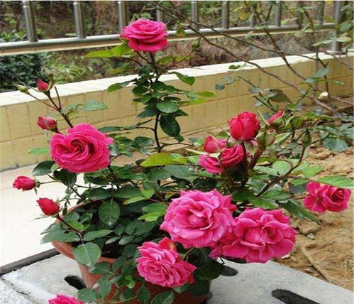 注意事项——不Neng忽视的小细节