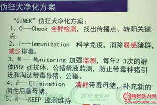 猪伪狂犬变异株肆虐，养殖场如何应对
