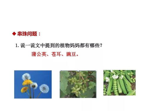 植物传播种子，是靠风力吗