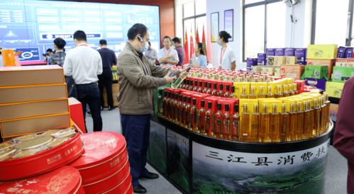 广西三江茶油苗直销，电话咨询火热进行中！