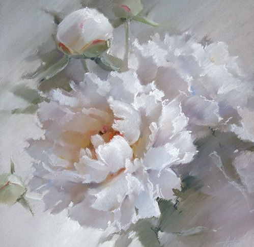 欧石楠高清美图集锦：绚丽花卉视觉盛宴！