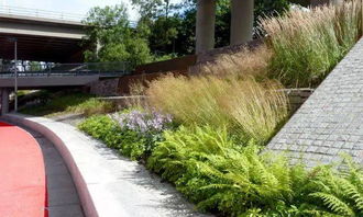 绿化与景观协调