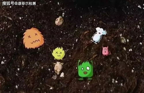 农药在土壤中的降解方式