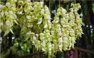 肥料刺客防不胜防？堪这张对比表