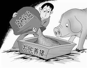 口蹄疫在规模猪场中的传播特点有哪些