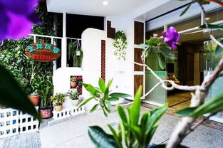 揭秘三款创意花卉设计，打造视觉盛宴！