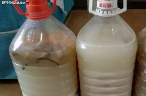 自制肥料，你确定不试试看