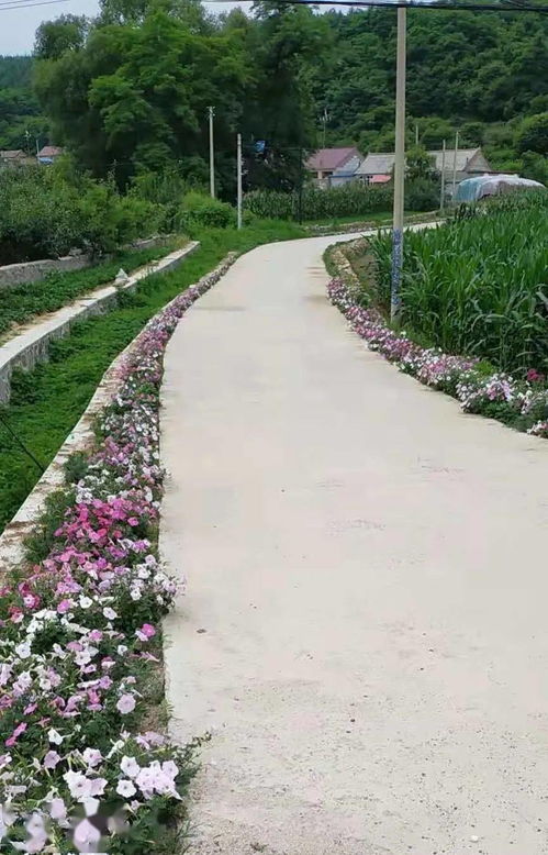 城市人羡慕的农村小院