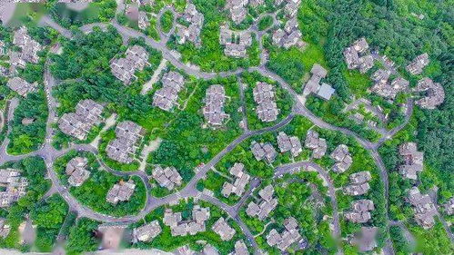 眉山市园林城市管理办法：养绿护绿，我们在行动