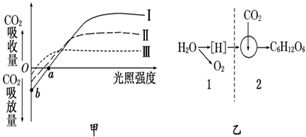 氟环唑怎么用？我来教你