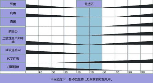 如何确定育肥猪舍环境优化的光照到噪声五大关键指标？
