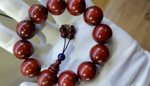 福建老王和隔壁老李的故事