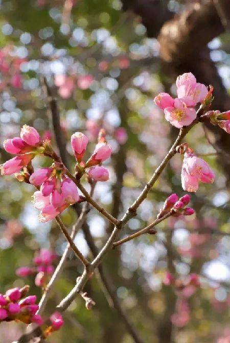 养护小贴士：不懂就问， 解决疑问