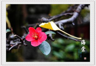 冬季养护，有讲究