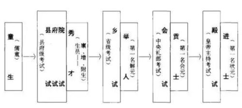 灌水和排水：麦田的“救星”
