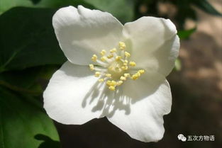 毒性大小，各有不同