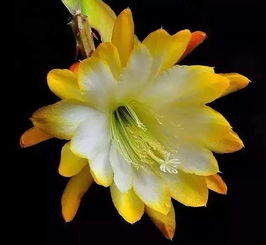 案例分享，学习正确方法