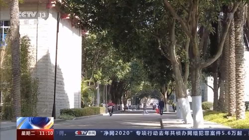 牡丹民众爱戴。